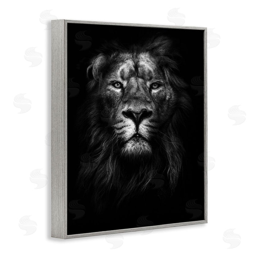 Design Fabrikken | Lion In Shadows Photography