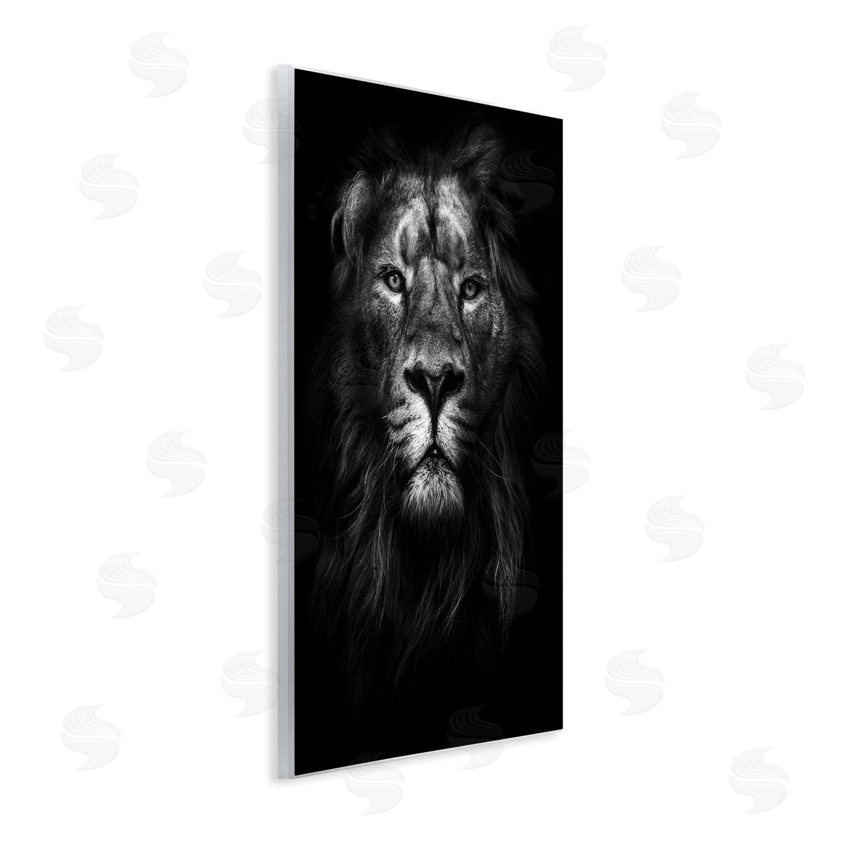 Lion In Shadows Photography Wood Plaque Wall Art, Home Decor by Design Fabrikken