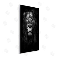 Design Fabrikken | Lion In Shadows Photography