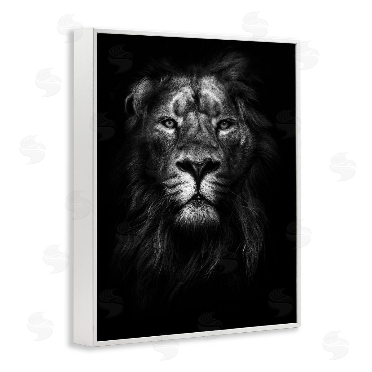 Lion In Shadows Photography White Frame Print Wall Art, Home Decor by Design Fabrikken