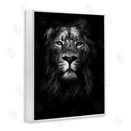 Design Fabrikken | Lion In Shadows Photography