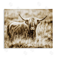Villager Jim | Vintage Cow In Pasture