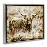 Villager Jim | Vintage Cow In Pasture