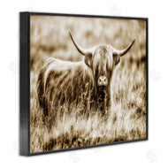 Villager Jim | Vintage Cow In Pasture