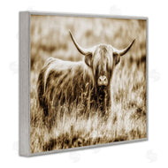 Villager Jim | Vintage Cow In Pasture
