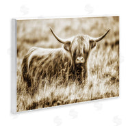 Villager Jim | Vintage Cow In Pasture