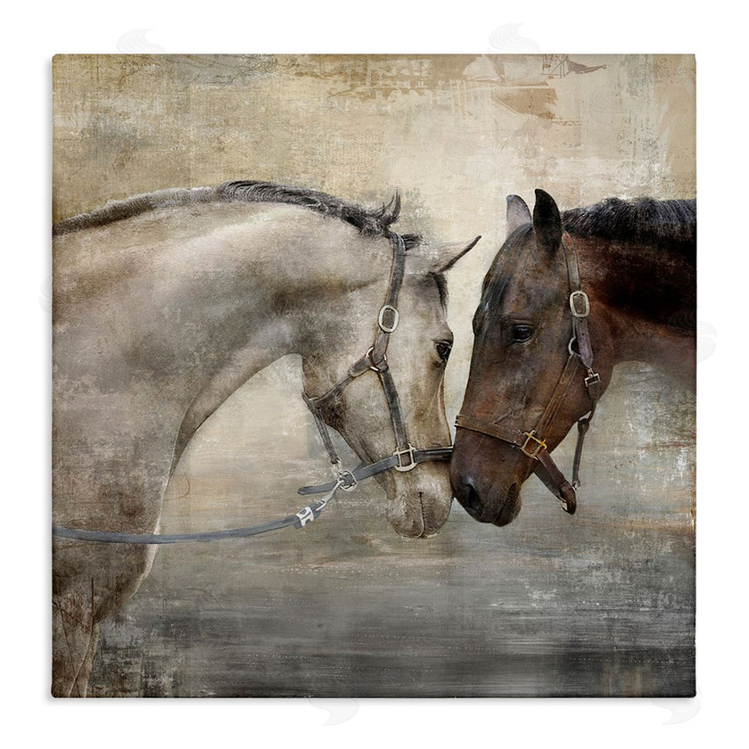 Main Line Studio | Loving Horse Couple