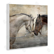 Main Line Studio | Loving Horse Couple