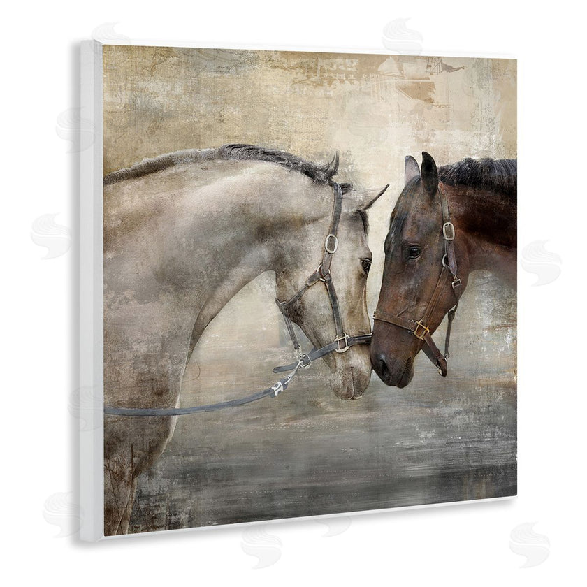 Main Line Studio | Loving Horse Couple