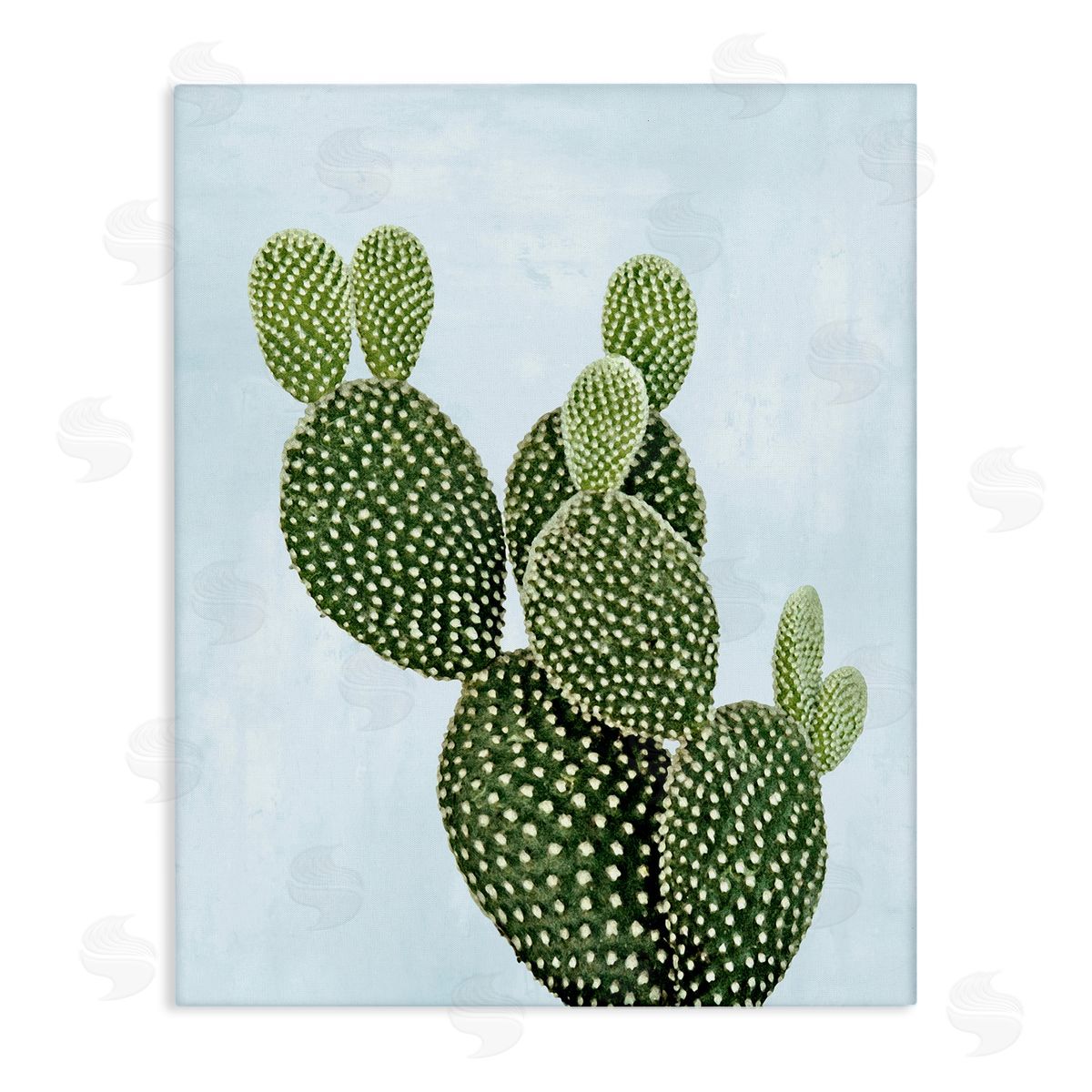 Prickly Pear over Paster Blue Canvas Wall Art, Home Decor by Mia Jensen