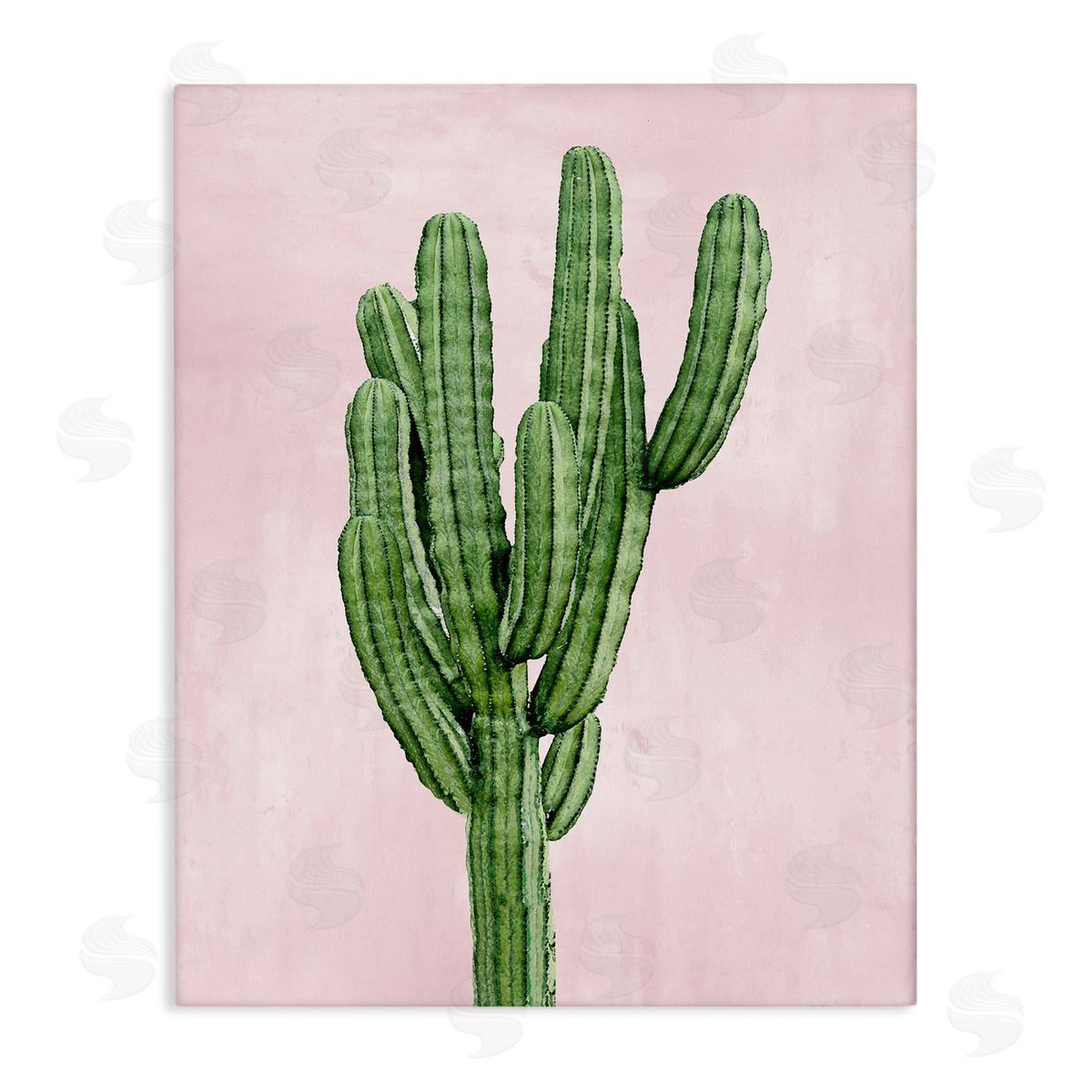 Desert Cactus over Pastel Pink Canvas Wall Art, Home Decor by Mia Jensen