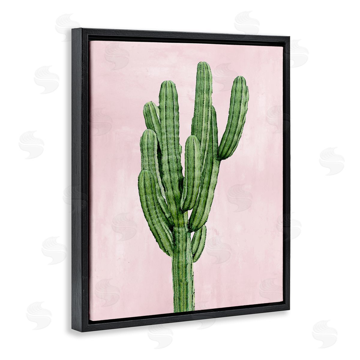 Desert Cactus over Pastel Pink Black Floating Frame Canvas Wall Art, Home Decor by Mia Jensen