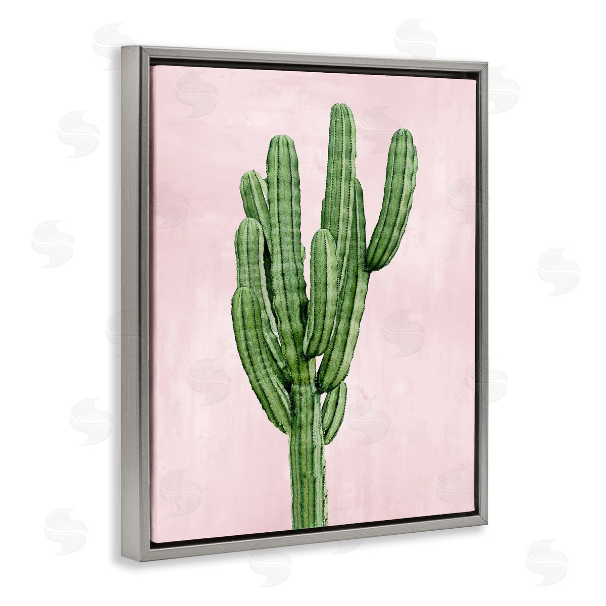 Desert Cactus over Pastel Pink Grey Floating Frame Canvas Wall Art, Home Decor by Mia Jensen