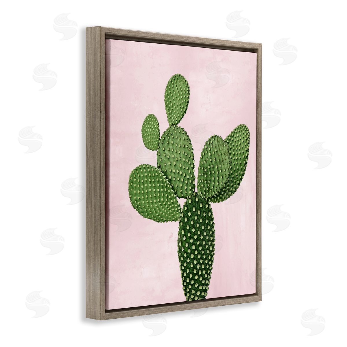 Prickly Pear over Pastel Pink Brown Floating Frame Canvas Wall Art, Home Decor by Mia Jensen