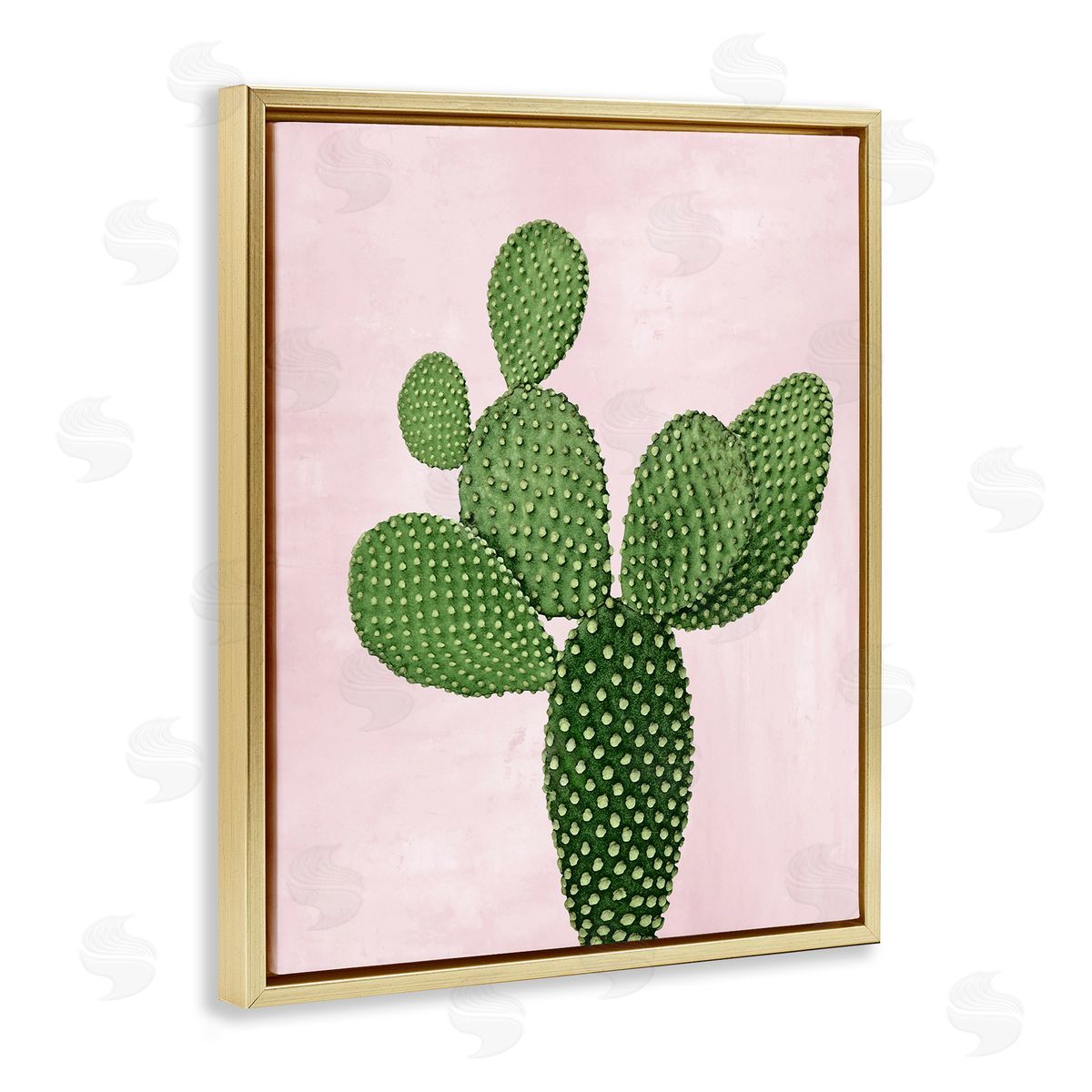 Prickly Pear over Pastel Pink Gold Floating Frame Canvas Wall Art, Home Decor by Mia Jensen