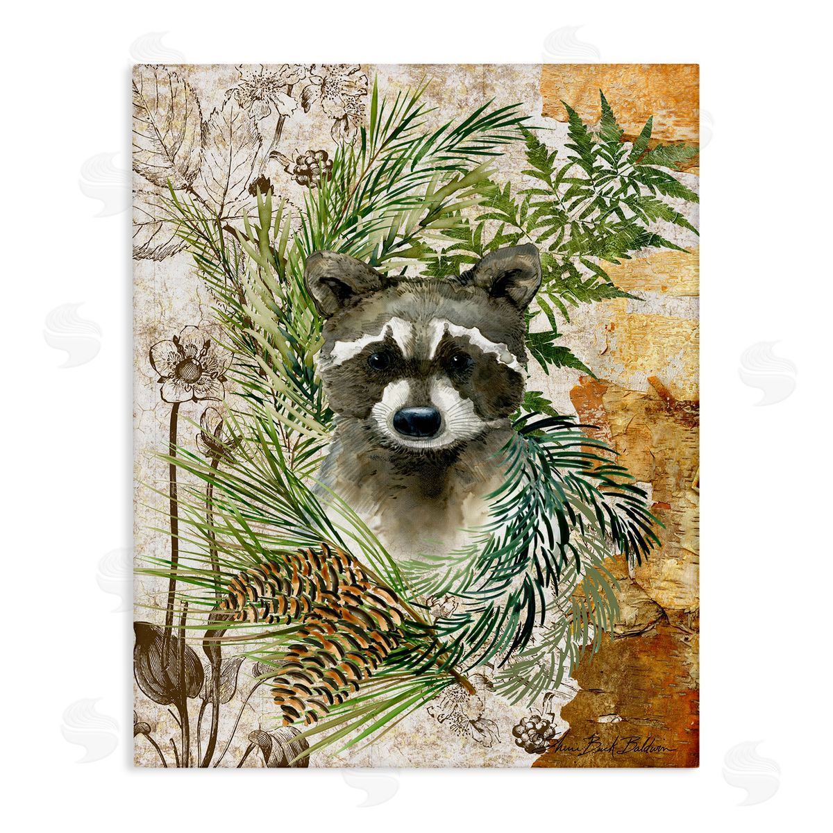 Baby Raccoon in Fern Forest Canvas Wall Art, Home Decor by Sherri Buck Baldwin