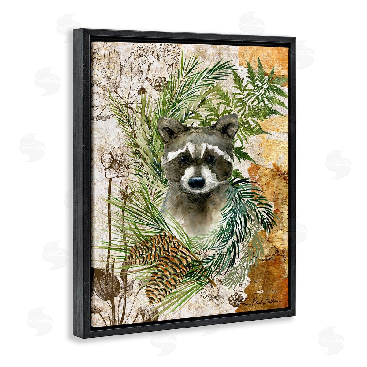 Baby Raccoon in Fern Forest Black Floating Frame Canvas Wall Art, Home Decor by Sherri Buck Baldwin
