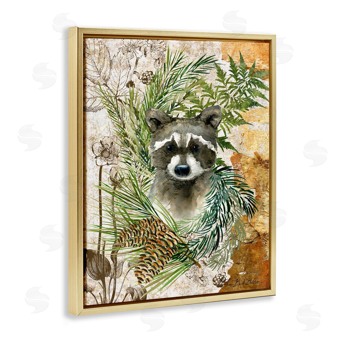 Baby Raccoon in Fern Forest Gold Floating Frame Canvas Wall Art, Home Decor by Sherri Buck Baldwin