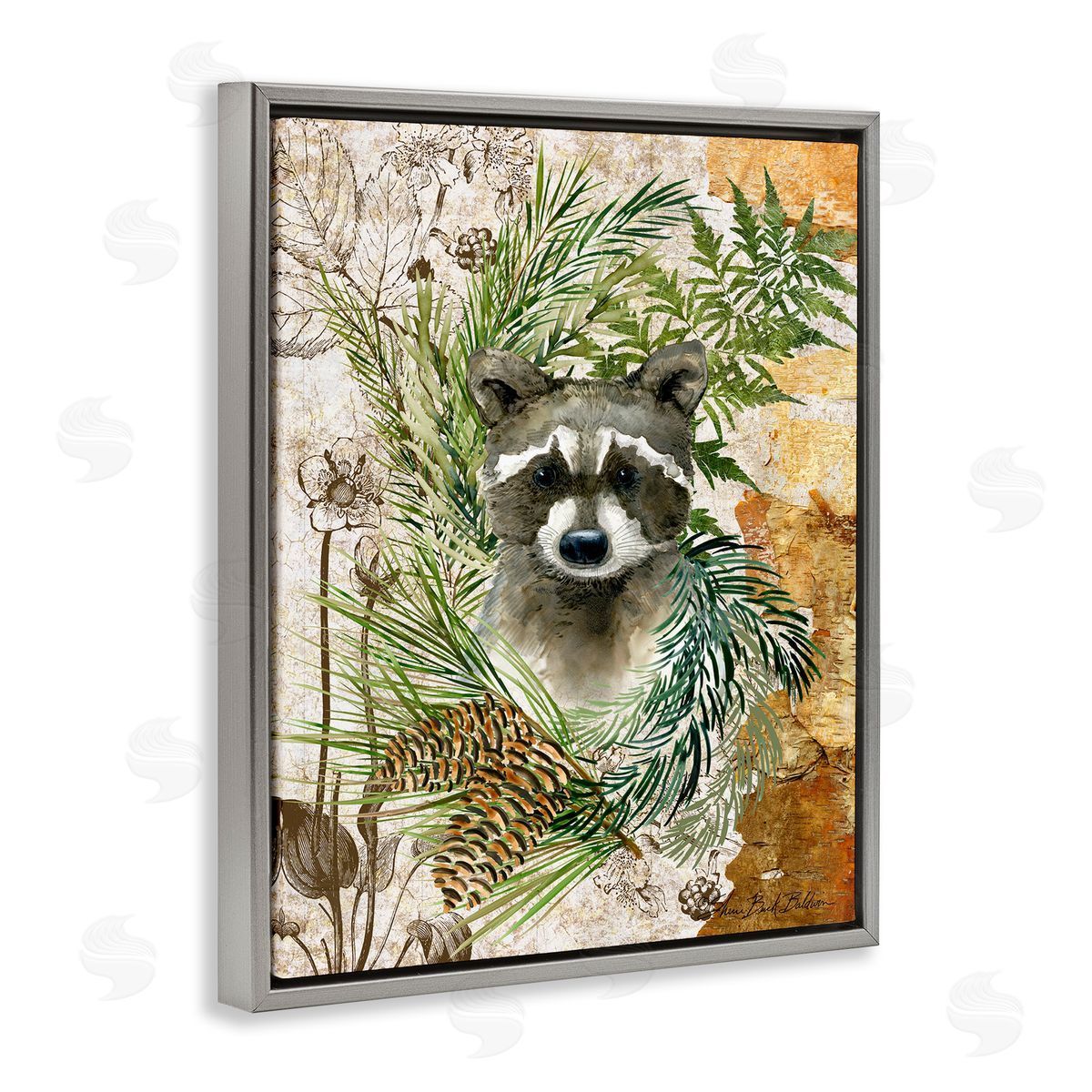 Baby Raccoon in Fern Forest Grey Floating Frame Canvas Wall Art, Home Decor by Sherri Buck Baldwin