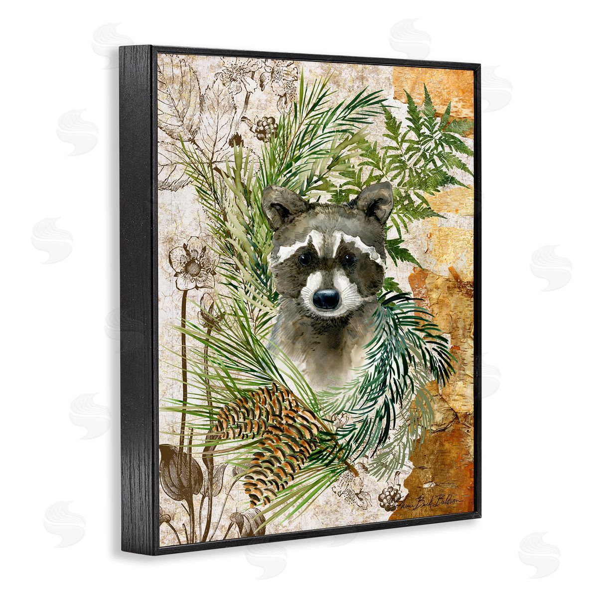 Baby Raccoon in Fern Forest Black Frame Print Wall Art, Home Decor by Sherri Buck Baldwin
