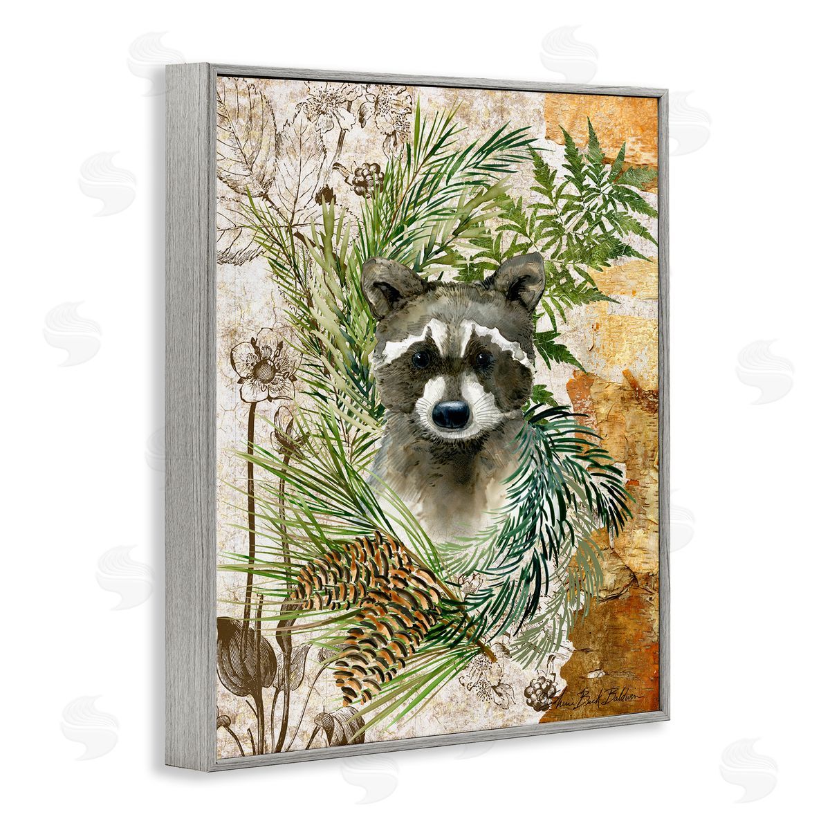 Baby Raccoon in Fern Forest Grey Frame Print Wall Art, Home Decor by Sherri Buck Baldwin