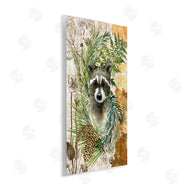 Sherri Buck Baldwin | Baby Raccoon in Fern Forest