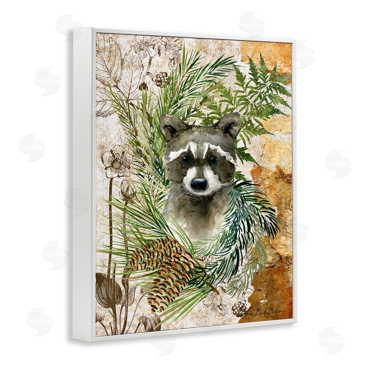 Baby Raccoon in Fern Forest White Frame Print Wall Art, Home Decor by Sherri Buck Baldwin
