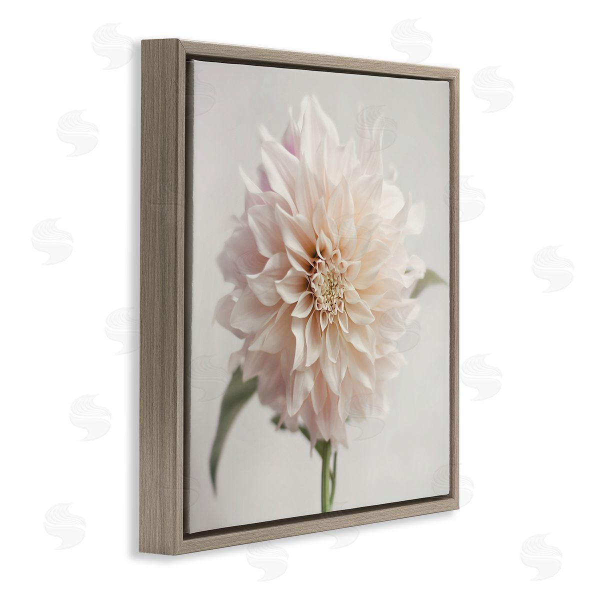 Pink Dahlia Floral Close Up Brown Floating Frame Canvas Wall Art, Home Decor by Sarah Jane