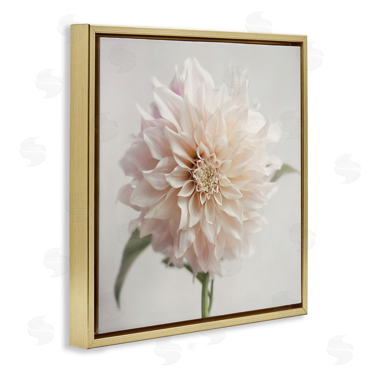 Pink Dahlia Floral Close Up Gold Floating Frame Canvas Wall Art, Home Decor by Sarah Jane