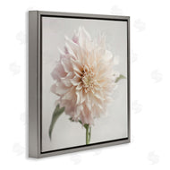 Sarah Jane | Pink Dahlia Floral Close Up