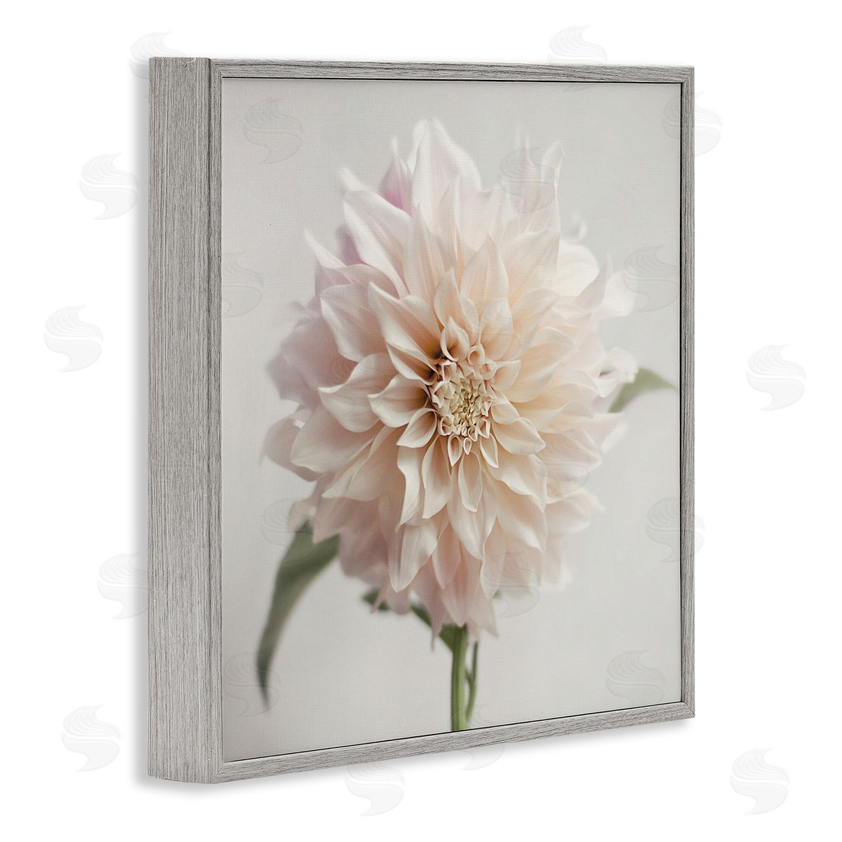 Pink Dahlia Floral Close Up Grey Frame Print Wall Art, Home Decor by Sarah Jane