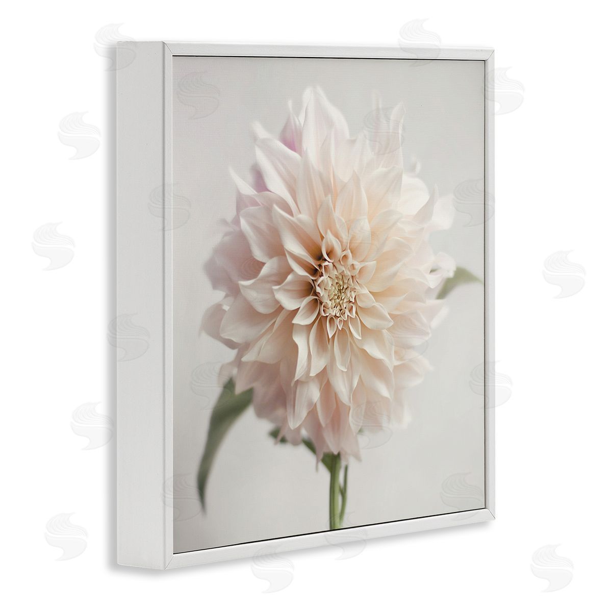 Pink Dahlia Floral Close Up White Frame Print Wall Art, Home Decor by Sarah Jane