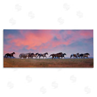 PHBurchett | Wild Horses at Sunset