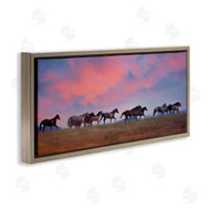 PHBurchett | Wild Horses at Sunset