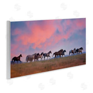 PHBurchett | Wild Horses at Sunset