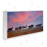 PHBurchett | Wild Horses at Sunset