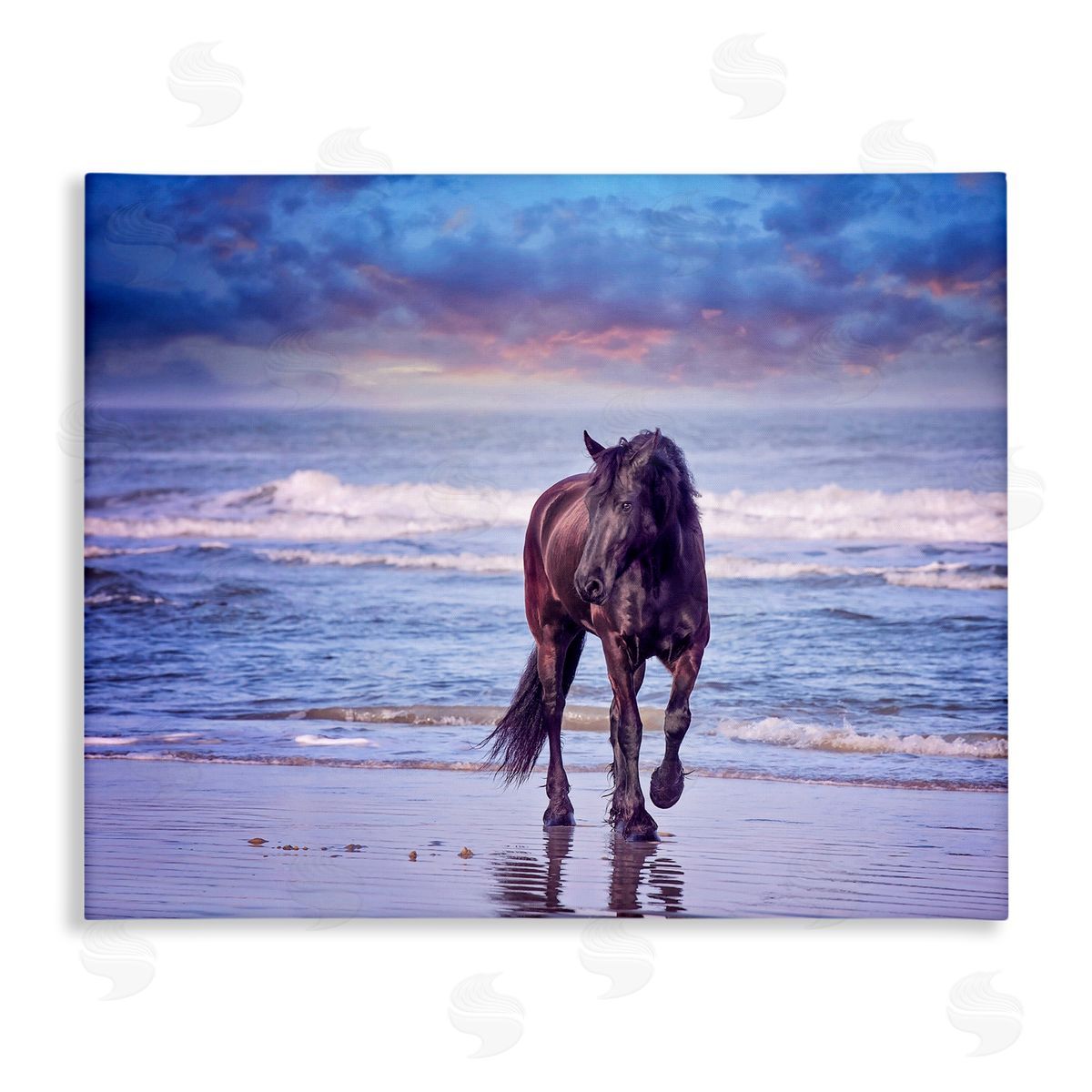 Wild Horse on Beach Canvas Wall Art, Home Decor by PHBurchett