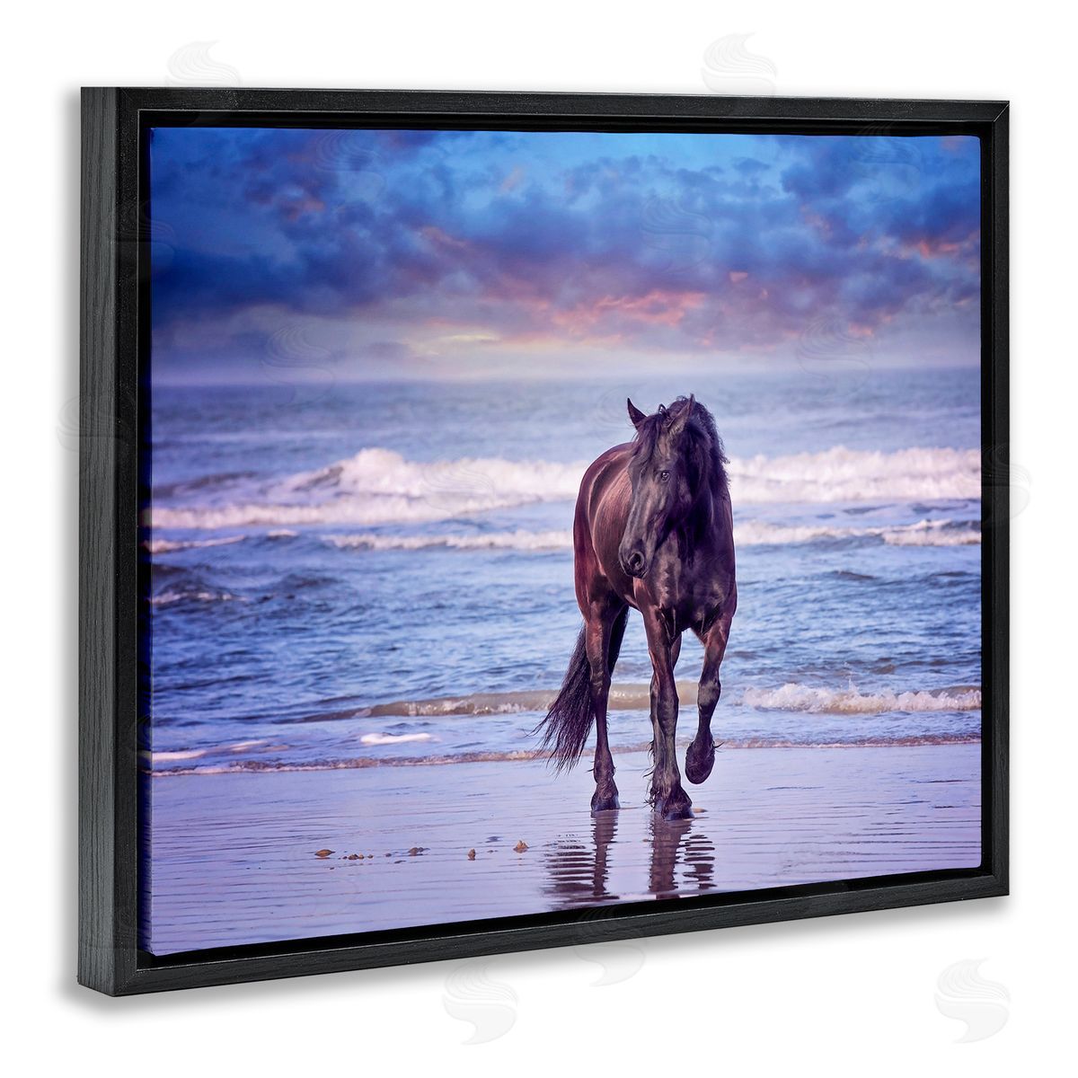 Wild Horse on Beach Black Floating Frame Canvas Wall Art, Home Decor by PHBurchett
