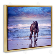 PHBurchett | Wild Horse on Beach