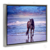 PHBurchett | Wild Horse on Beach