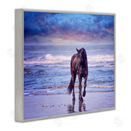 PHBurchett | Wild Horse on Beach