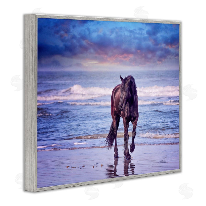 PHBurchett | Wild Horse on Beach