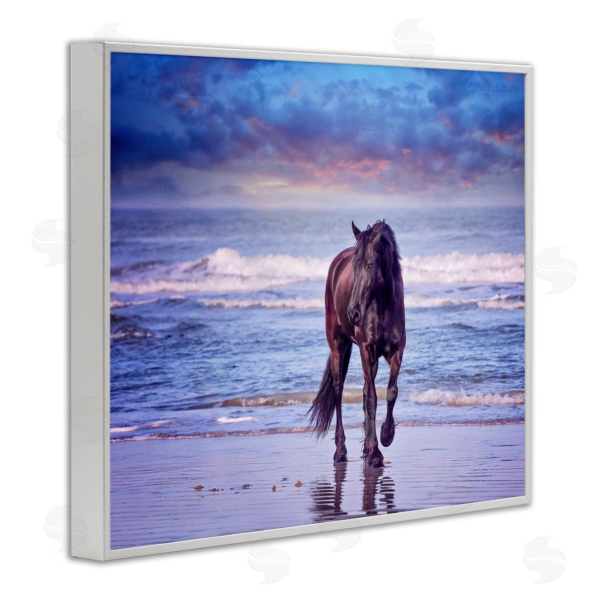 Wild Horse on Beach White Frame Print Wall Art, Home Decor by PHBurchett