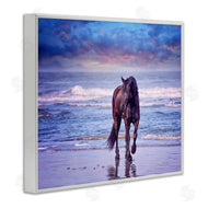 PHBurchett | Wild Horse on Beach