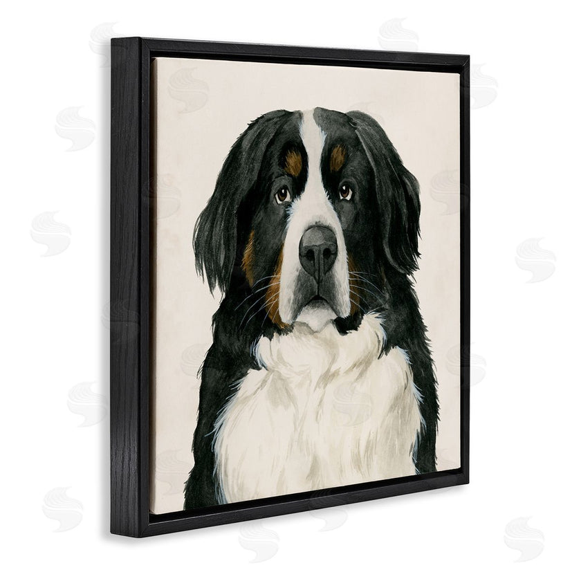 Grace Popp | Bernese Mountain Dog Portrait