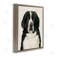 Grace Popp | Bernese Mountain Dog Portrait