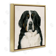 Grace Popp | Bernese Mountain Dog Portrait