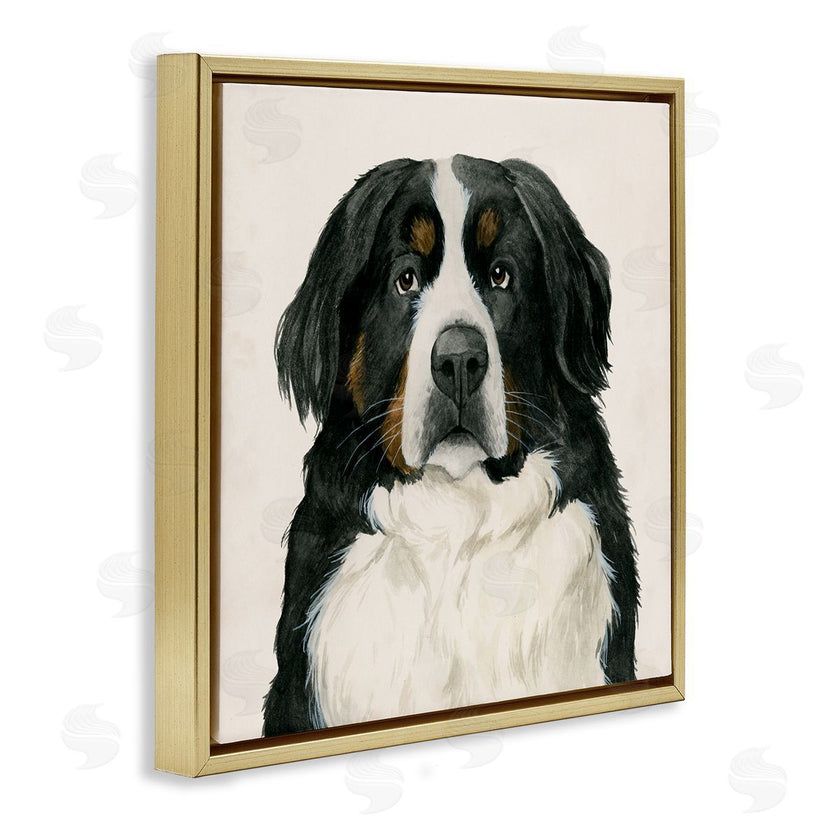 Grace Popp | Bernese Mountain Dog Portrait