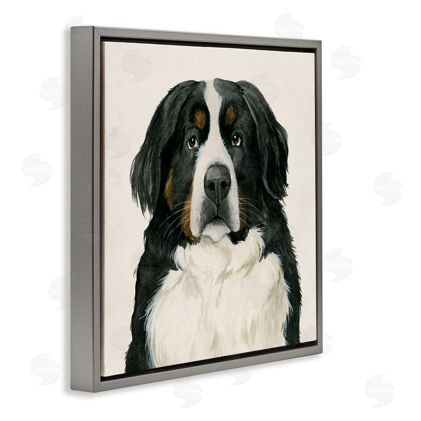 Grace Popp | Bernese Mountain Dog Portrait