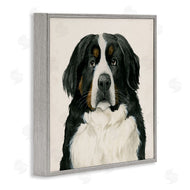 Grace Popp | Bernese Mountain Dog Portrait